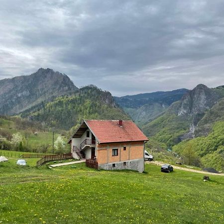 Family Owned Self Sufficient Eco Farm Tara Hotel Pljevlja Eksteriør billede