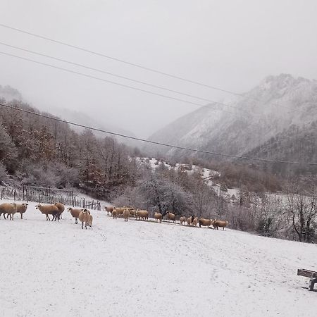 Family Owned Self Sufficient Eco Farm Tara Hotel Pljevlja Eksteriør billede