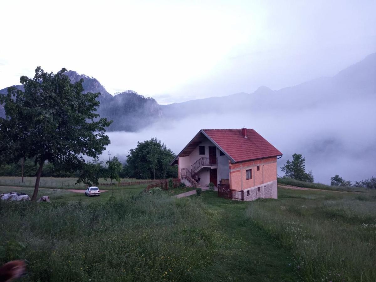 Family Owned Self Sufficient Eco Farm Tara Hotel Pljevlja Eksteriør billede