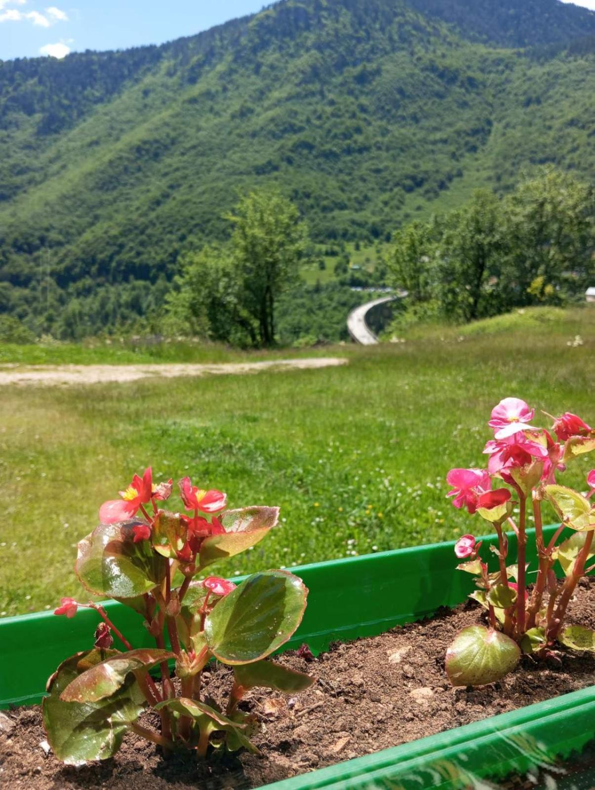 Family Owned Self Sufficient Eco Farm Tara Hotel Pljevlja Eksteriør billede